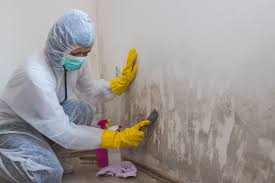 Best Commercial Mold Inspection in Morgantown, MS